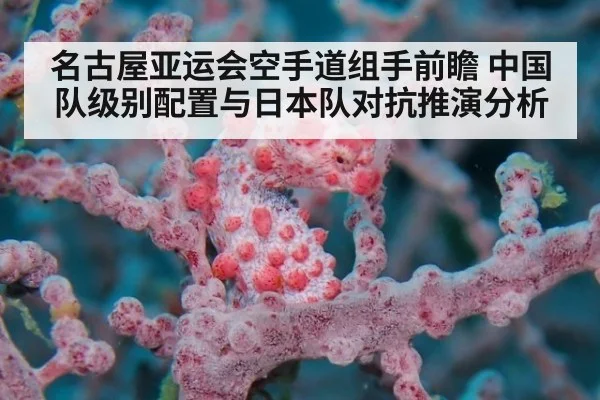 名古屋亚运会空手道组手前瞻 中国队级别配置与日本队对抗推演分析